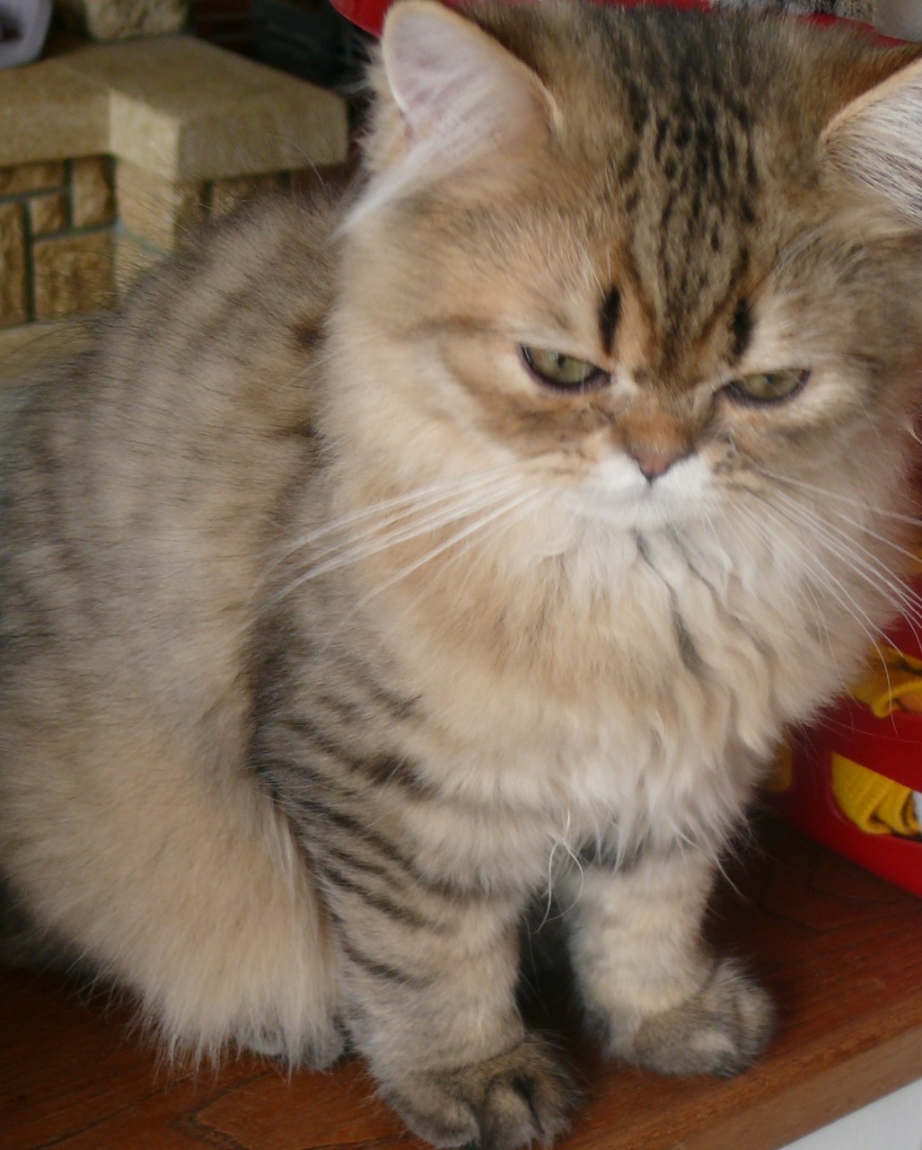 LANCELOT